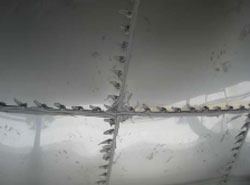 Bolt Sealant